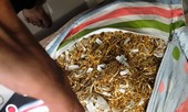Truy tìm nguồn gốc 230 lượng vàng trị giá 5 tỷ đồng Quảng Nam
