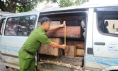 Tài xế bỏ lại ô tô chở gỗ lậu khi bị cảnh sát truy đuổi