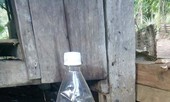 Ba thầy giáo nhập viện vì uống rượu ngâm rễ cây