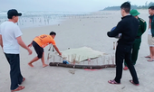 Kinh hoàng phát hiện thi thể không nguyên vẹn khi đang tắm biển