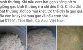Cà Mau thông tin chính thức vụ nghi gạo giả, nấu không nở