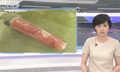 Nữ sinh Việt bị bắt vì mang nem chua chứa virus tả lợn vào Nhật Bản