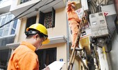 Thanh tra Chính phủ vào cuộc kiểm tra giá điện