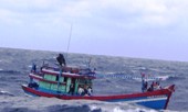 Tàu cá Quảng Ngãi cùng 13 ngư dân bị mắc cạn trên vùng biển Trường Sa
