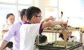 Trao 7 giải Nhất Hội thi Tin học trẻ toàn quốc lần thứ 25