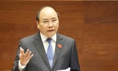 Thủ tướng yêu cầu xử lý nghiêm các vụ phá rừng trái phép