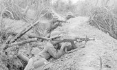 'Địch đã đến rồi, các anh cứ bắn thẳng vào đầu tôi đi'