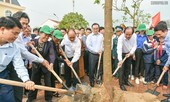 Thủ tướng mong muốn Hà Nội là thành phố 4 mùa hoa nở