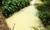 Kênh thoát nước mưa KCN ở Đà Nẵng đổi màu trắng đục bất thường