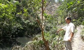 Phó Thủ tướng chỉ đạo nhiều tháng, vụ thiếu niên chết bất thường vẫn 'đóng băng'