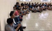 Cảnh sát đột kích trường gà 'khủng' ở Sài Gòn, thu giữ hơn 600 triệu đồng