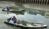 Cá lại chết nổi trắng kênh Nhiêu Lộc - Thị Nghè sau mưa