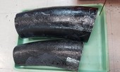 Bắt giữ người đàn ông vận chuyển ngà voi qua đường hàng không
