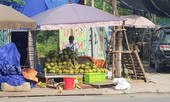 Nắng nóng, dân buôn dừa xiêm Bến Tre hái ra tiền trên vỉa hè Hà Nội