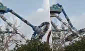 Hé lộ chấn động vụ đu văng gãy đôi, 31 người thương vong