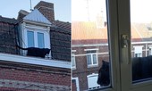 Đứng tim khi thấy báo đen đủng đỉnh đi dạo trên mái nhà giữa phố đông