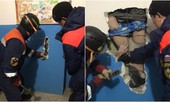 Ngã cắm đầu từ tầng 9 vẫn sống sót nhờ... đôi bốt lông