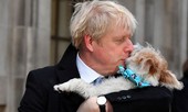 Tổng tuyển cử Anh: Thủ tướng Boris Johnson dắt chó đi bỏ phiếu