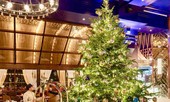 Cây thông Noel đắt nhất thế giới, treo đầy kim cương giá 347 tỉ đồng