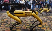 Mỹ thả chó robot vào nơi làm việc