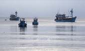 Việt Nam thực hiện nhiều khuyến nghị của EC liên quan đánh bắt IUU
