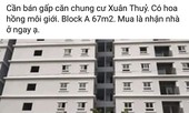 Rao bán nhà ở xã hội tràn lan trên Facebook