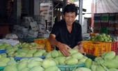 Xoài Việt Nam chính thức có “visa” đi Mỹ sau 10 năm đàm phán