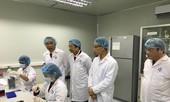 Virus dịch tả lợn châu Phi ở Việt Nam tương đồng virus ở Trung Quốc
