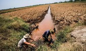 Thủy điện của Trung Quốc giảm lưu lượng xả, lo ĐBSCL ảnh hưởng