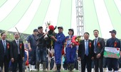 Đẻ 3 lứa vẫn đăng quang 'Hoa hậu' bò sữa Mộc Châu năm 2019