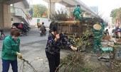 Công nhân môi trường nhọc nhằn dọn dẹp đào, quất sau Tết