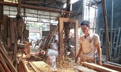 Hộ sản xuất, doanh nghiệp bắt đầu 'ngấm đòn' tăng giá điện