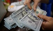 Giá USD tiếp đà giảm mạnh
