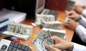 Giá USD trung tâm tăng kỷ lục cao nhất kể từ đầu năm