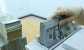 Giá USD diễn biến trái chiều