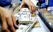 Vàng neo cao, USD bất ngờ giảm sâu