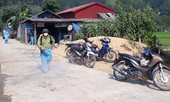 Lào Cai xuất hiện dịch tả lợn Châu Phi