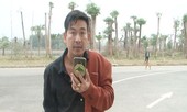 Tuyên phạt hai năm tù ‘thánh chửi’ Trần Đình Sang