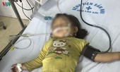 Bị cả đàn ong tấn công, bé 3 tuổi nguy kịch