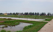 Lãnh đạo xã bị đình chỉ công tác vì bị điều tra liên quan đến vi phạm đất đai