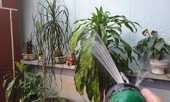 Hai vợ chồng bị điện giật tử vong khi tưới cây
