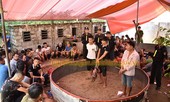 Phát hiện gần trăm người đang say sưa sát phạt trong sới gà