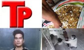 Bản tin hình sự: Nhóm thanh niên hành hung dã man thiếu nữ ở Linh Đàm