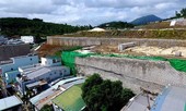 Tổng kiểm tra dự án trên các đồi tại Nha Trang