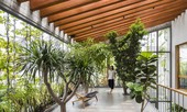 “Trốn” nóng trong ngôi nhà phủ kín cây xanh ở Sài Gòn