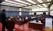 Tập đoàn CEO sẽ bứt tốc mạnh mẽ sau tái cấu trúc