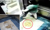 Sốc với chuyện khách nữ tè bậy trong thang máy chung cư Hà Nội