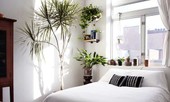 Phòng ngủ nổi bật cho nhà phố hẹp nhờ biến tấu cổ điển và cây xanh