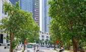 Người phố thị mong không gian sống hòa mình với thiên nhiên