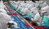 Thủy sản Minh Phú bị tố lẩn tránh thuế tại Mỹ